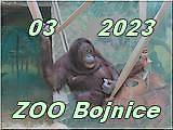 Bojnice
